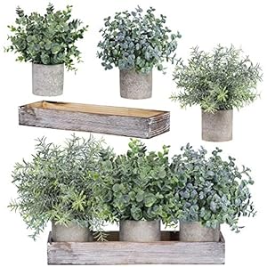 Set of 3 Mini Potted Artificial Eucalyptus Plants Faux Rosemary Plant Assortment with Wood Planter Box for Indoor Office Desk Apartment Wedding Tabletop Greenery Decorations 8.7" Tall Set of 3 Mini Potted Artificial Eucalyptus Plants Faux Rosemary Plant Assortment with Wood Planter Box for Indoor Office Desk Apartment Wedding Tabletop Greenery Decorations 87 Tall