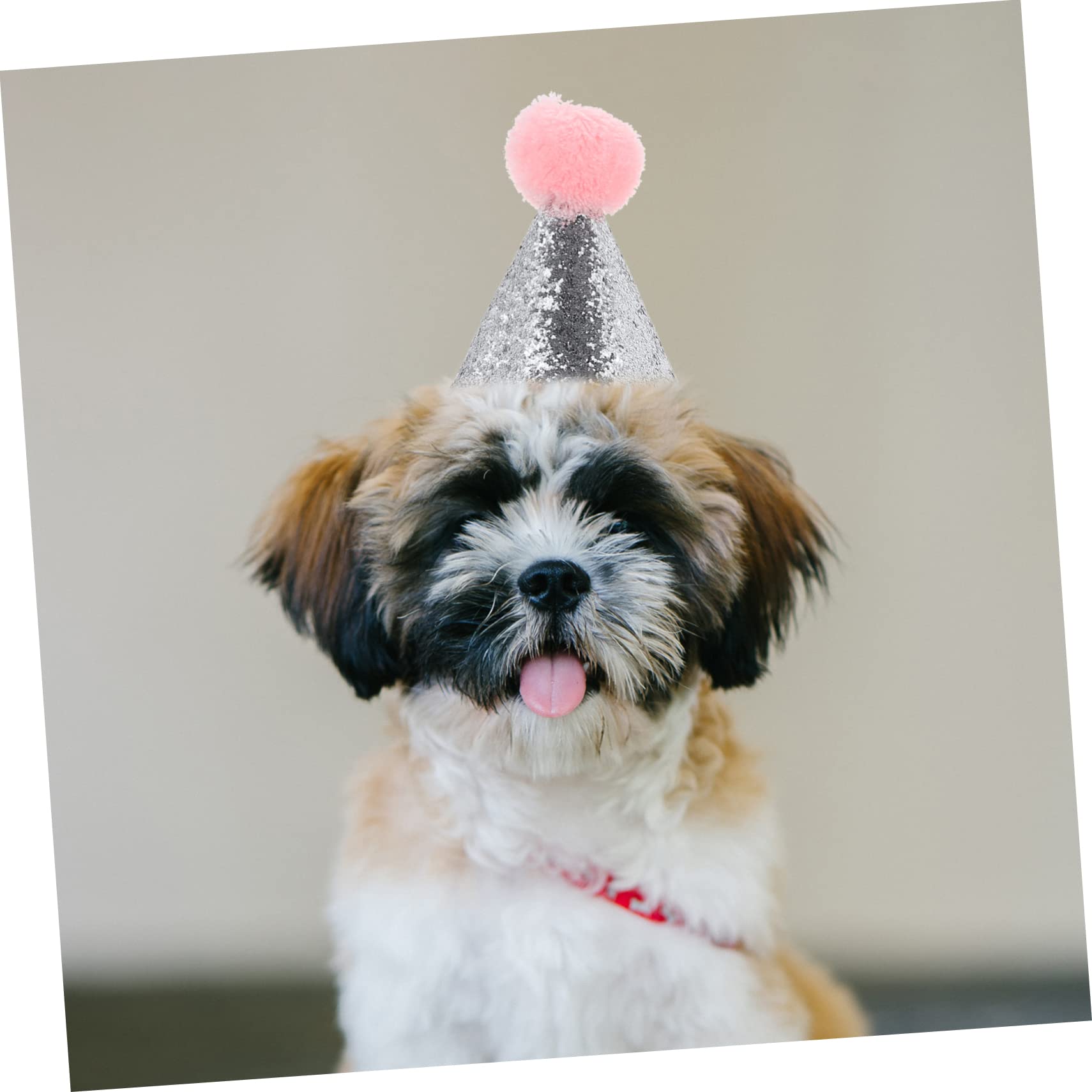 COLLBATH 4Pcs Pet Birthday Hats for Dogs and Cats Caps for Party Decoration Create Unforgettable Memories with Glittering Accessories