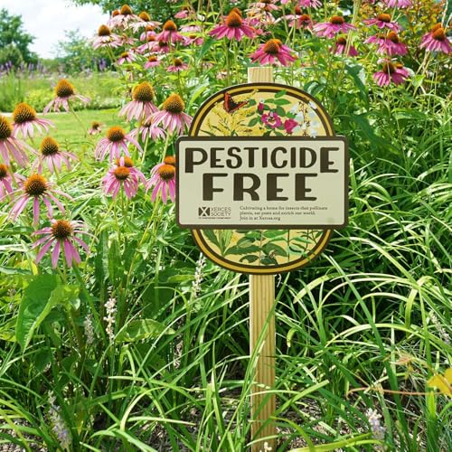 Buying Bee Safe Plants: How to keep pesticides out of your garden