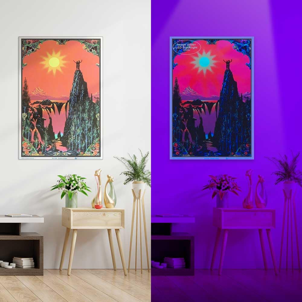 Amazon.com: Scorpio Posters Garden of Eden Laminated Blacklight