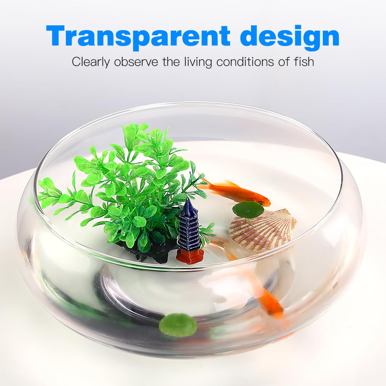 HANABASS Klare Fischglasvase – Blaseschale Mit Breiter Öffnung – Flacher Übertopf – Terrarium-Fischglas – Wasserpflanzentopf – Hydrokultur-Pflanzgefäß Als Tischdekoration