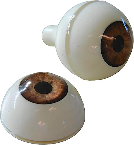 Par de ojos realistas de acrílico redondo tamaño real para accesorios de Halloween, máscaras, muñecas o osos, 1.024 in (marrón claro)