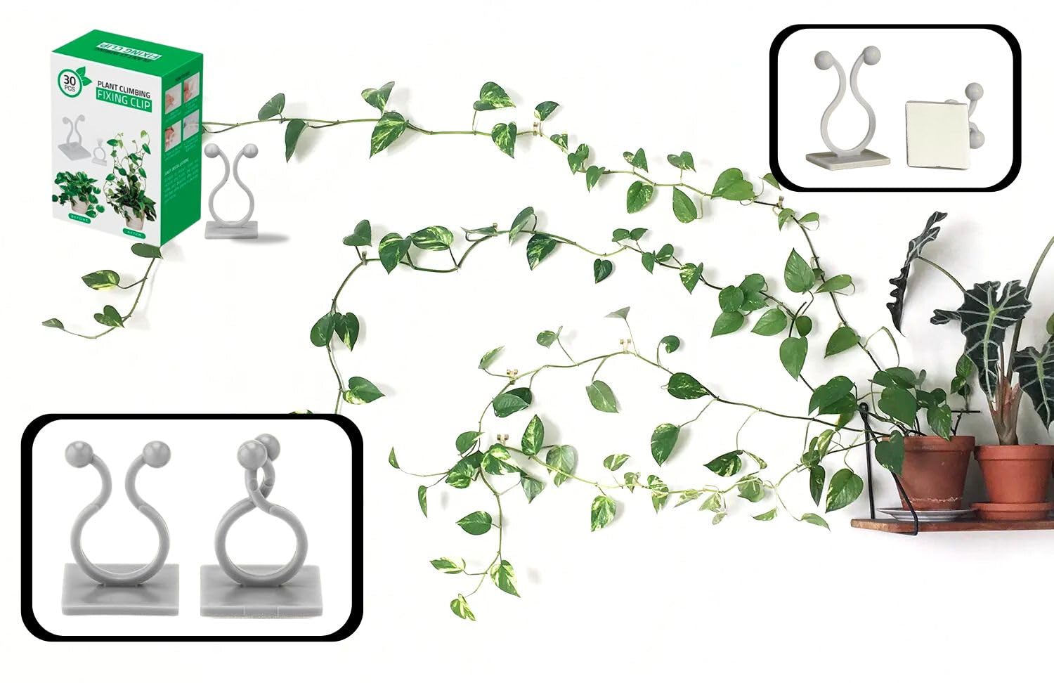 GreenGrip Plant Support Clips for Climbers | for Moneyplant & Lite wighted Plants | Arrange The Plants neatly on The Wall with This Self-Adhesive Clips | Pack of 30 PCs | GreenWhite Color (White, 30)-image-2
