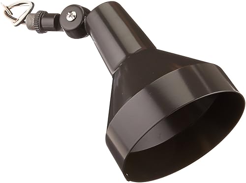 RAB Lighting H101A 150 vatios máx. Par38 iluminación de paisaje accesorio de inundación 120 voltios, bronce