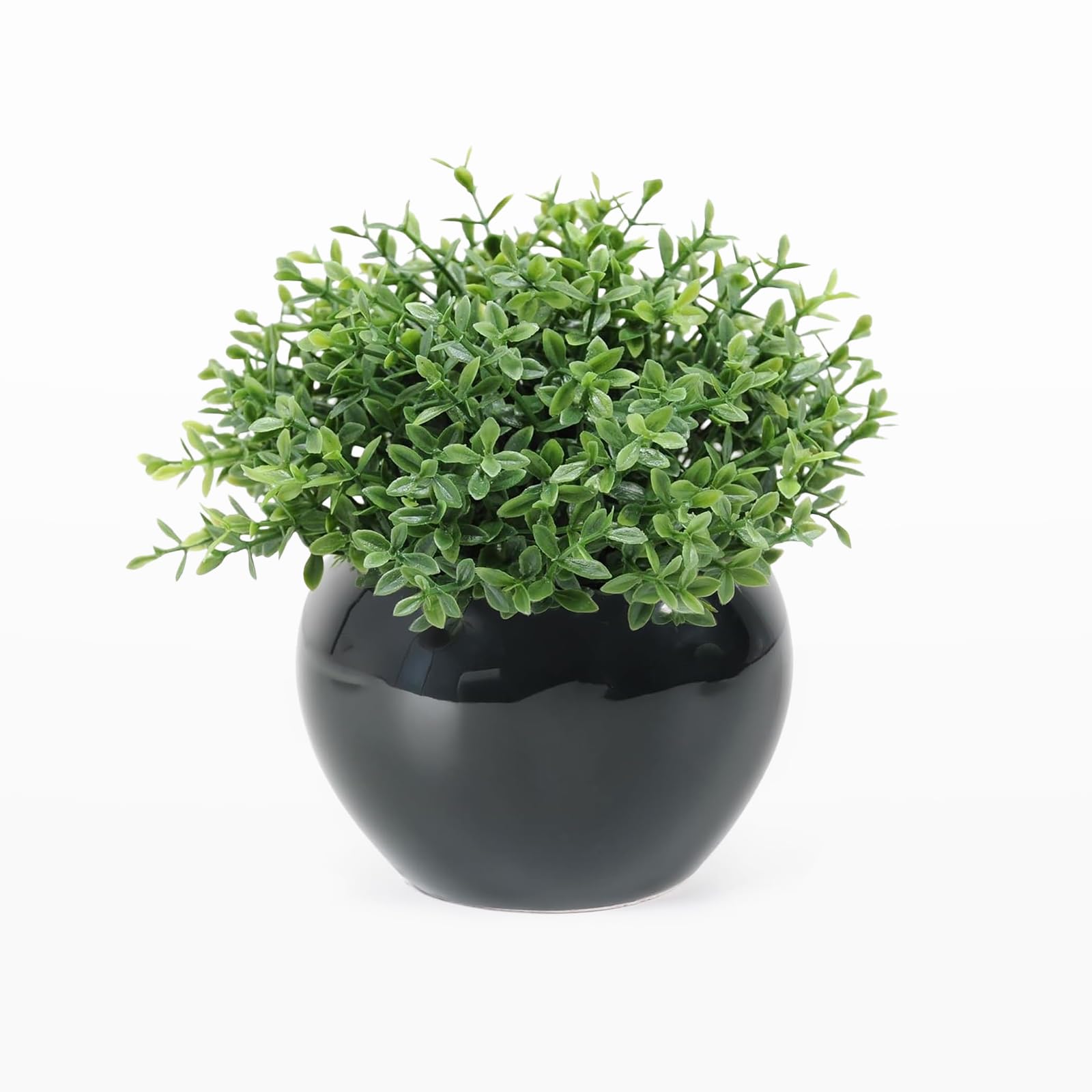 Velener Fake Sage Plant