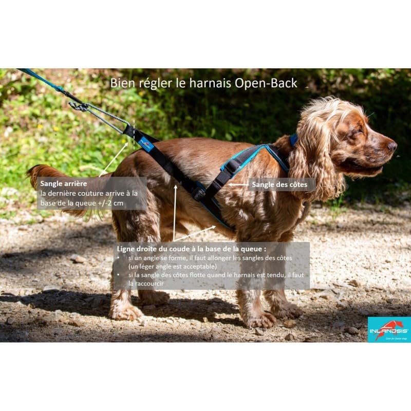 Inlandsis Canicross Geschirr für kleine Hunde, Open-Back