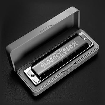 Blues Harmonica Armonica Mouth Organ Harp 10 Holes Harmonica Key of C Diatonic Professional Advanced Music Instrument for Students Adults