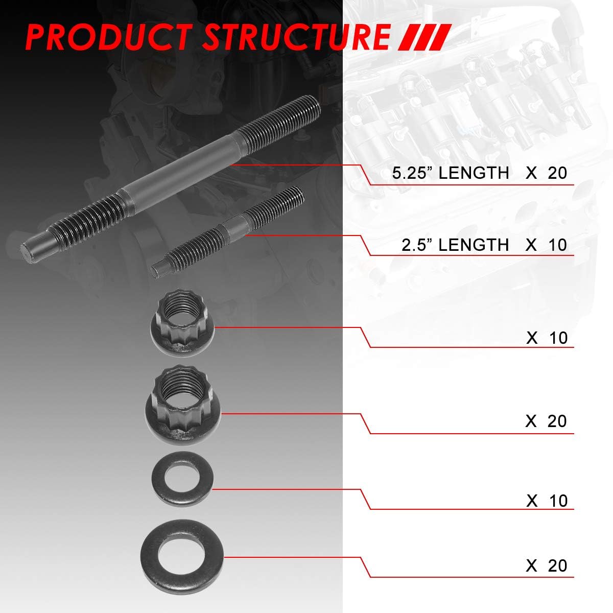 Auto Dynasty 12-Point Cylinder Head Stud Hex Nut Kit Compatible with Chevy LS1 LS3 LS6 L98 5.3L 5.7L 6.0L 4.8L 5.3L 6.0L 2004+