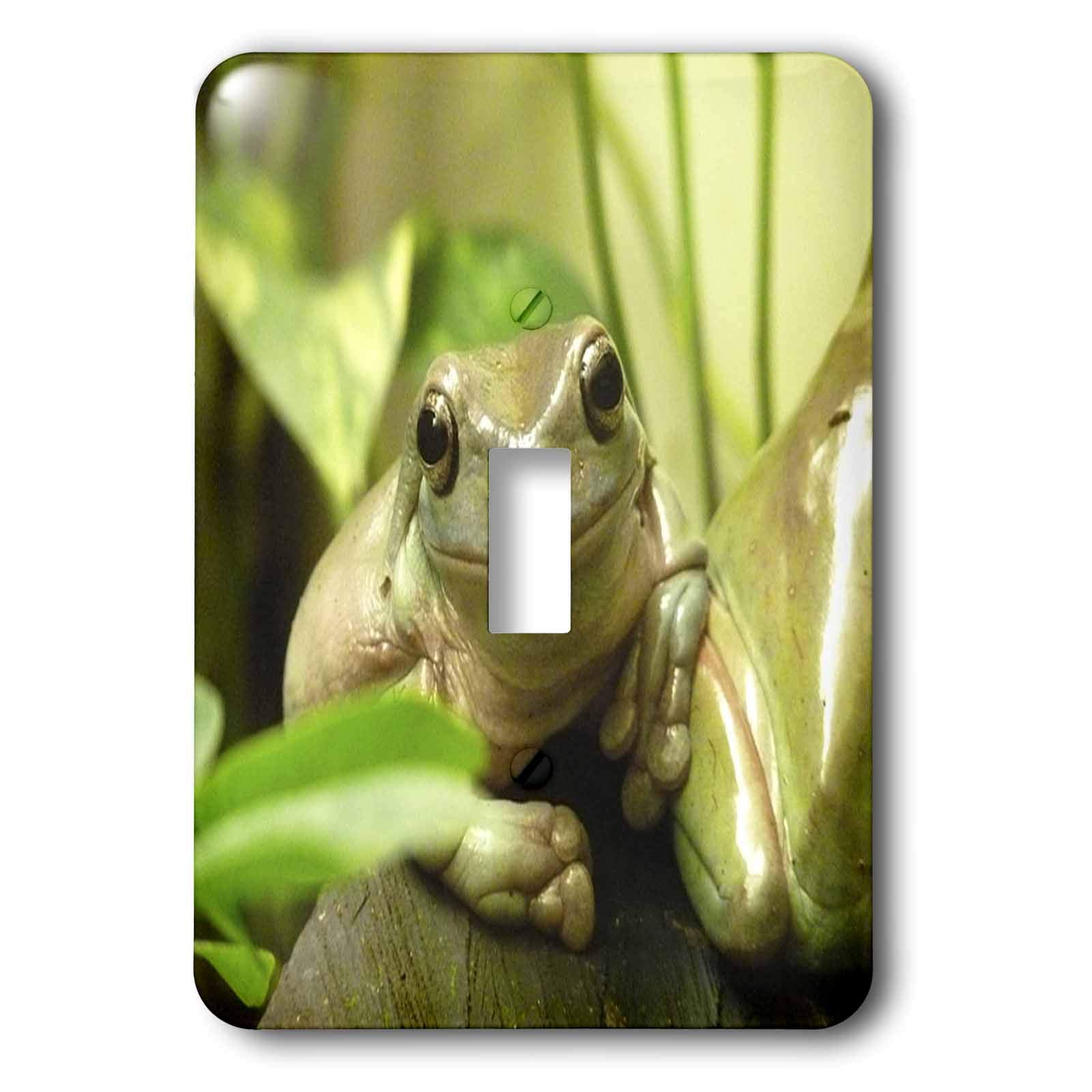Interrupteur mignon grenouille 3dRose pour chambre d'enfant et salon