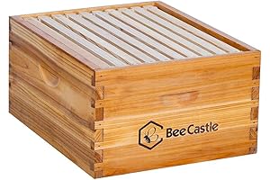 Langstroth Deep/Brood Box Beehive with Frames and Beeswax Foundation