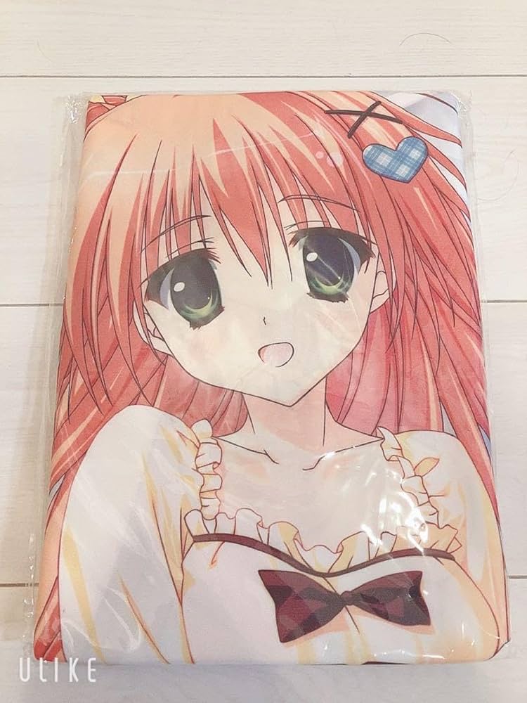 Amazon | 星空に架かる橋 中津川初 抱き枕カバー | アイドル