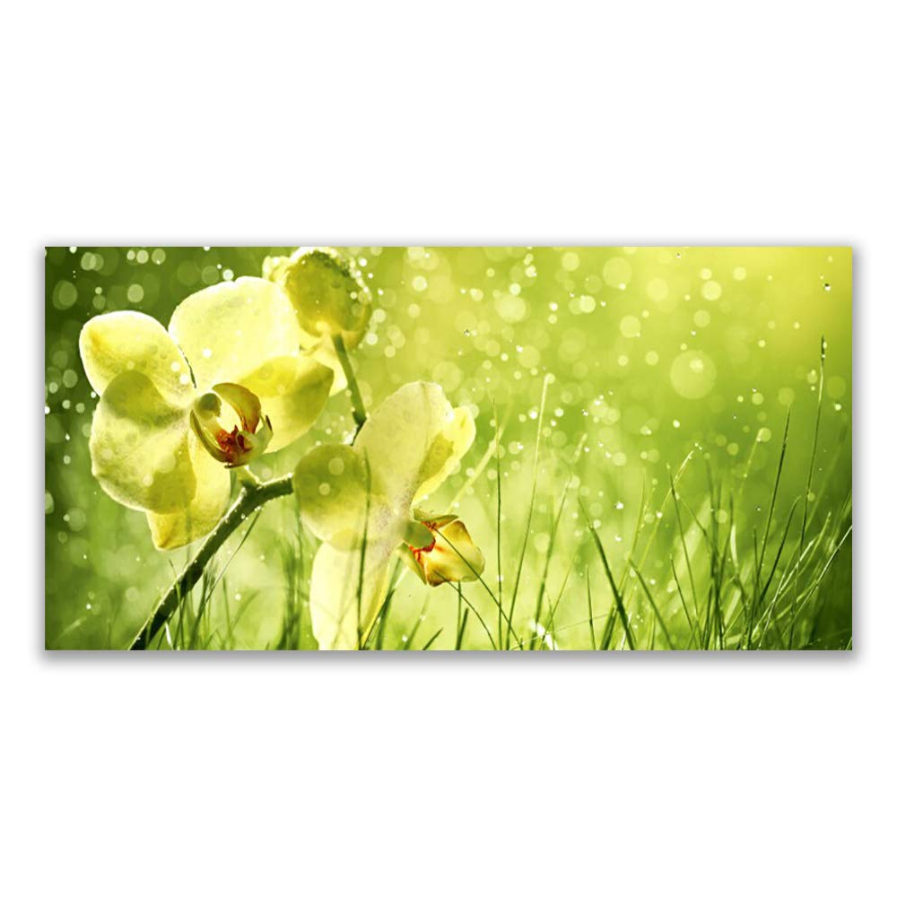 Toile imprimée 120x60cm herbe fleurs tableau décoration murale moderne