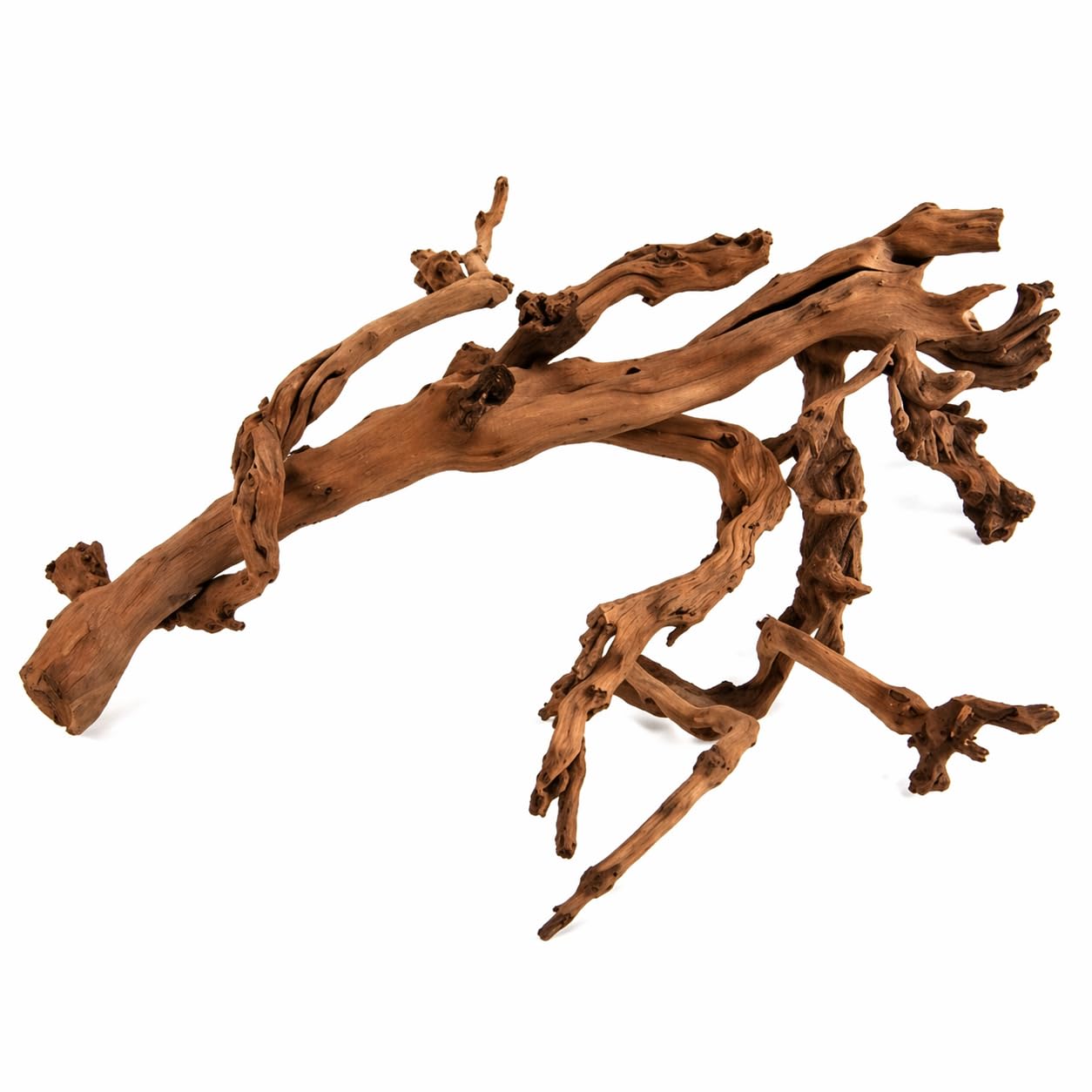 Weinrebe, Rebenholz, verästelt, sandgestrahlt, Verschiedene Größen, Terrarium Deko, Sitzstange, Vogelsitzplatz, Käfigzubehör, Floristik und Raumschmuck