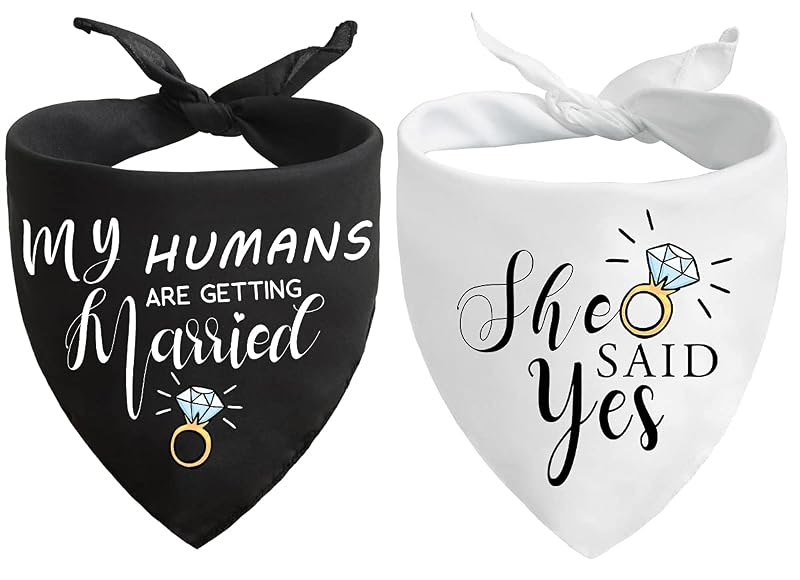 Bandana para Cachorro “My Humans Are Getting Married” em Poliéster Yangmics Direct Preto e Branco, Pacote com 2