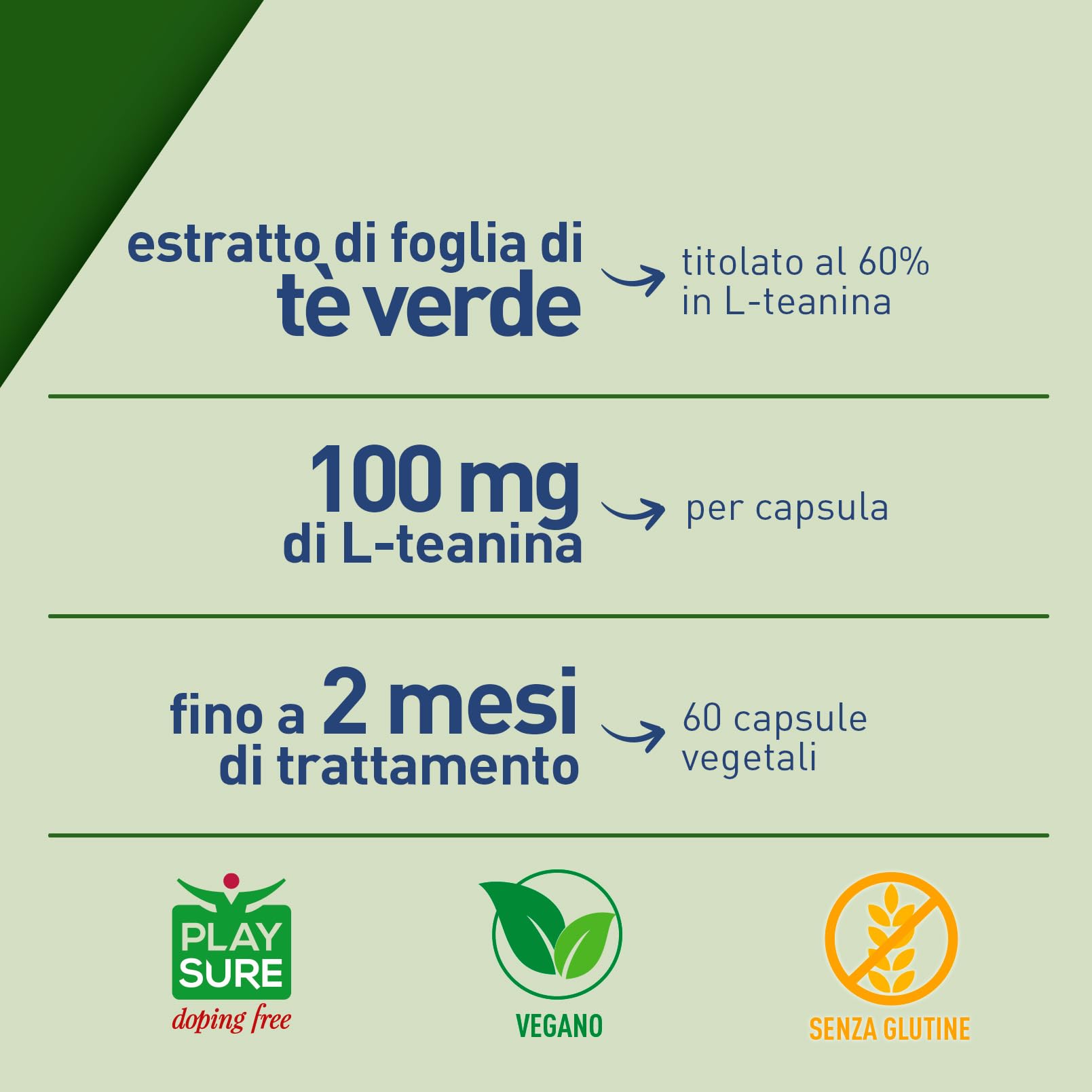 LongLife® L-Theanine | Con L-teanina da tè verde 100mg | Rilassamento e concentrazione | Antiossidante | Fino a 2 mesi di trattamento | Vegano e senza glutine