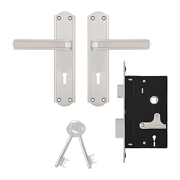 Godrej Locking Solutions and Systems 8171 Stella 6 Levers Satin Steel Door Handle with Lock Set (Silver)