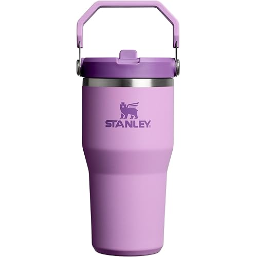 Stanley IceFlow 2.0 Flip Straw Tumbler with Handle 20 oz | Twist On Lid and Flip Up Straw | Leak Resistant Water Bottle | Insulated Stainless Steel | BPA-Free | Lilac