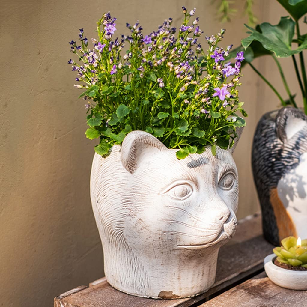 Amazon.co.jp: 鉢花 植木動物の頭のプランターポット猫の顔プランター