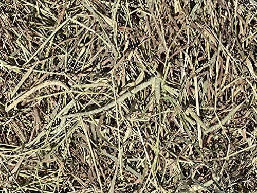 FPS Fox Peak Timothy Hay Rabbits, Guinea Pigs, Chinchilla Food (5+ lb.)