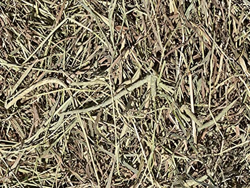 FPS Fox Peak Timothy Hay Rabbits, Guinea Pigs, Chinchilla Food (10+ lb.) - image 5