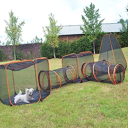 6 in 1 OLbg Leg |bvAbv ybgxr[T[N Lglt |[^uLvCnEX (L⏬p̃vCeg) - OXy[X