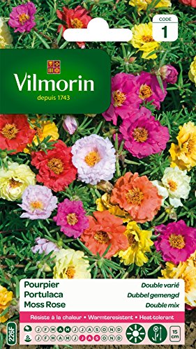 Vilmorin 5633441 Postelein met grote bloemen, dubbel, varieert, meerkleurig, 90 x 2 x 160 cm