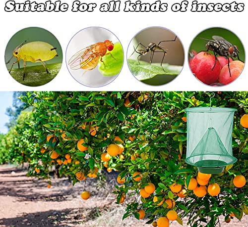 8 Pack Ranch Fly Trap - Reusable Fly Trap With Tray For Indoor Outdoor Hanging Farms,Stable,Garden,Orchard,Park #TOP3