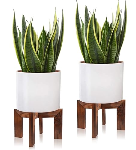 Gendral Forwepup 2 Pack Wood Plant Stand, Mid Century Modern