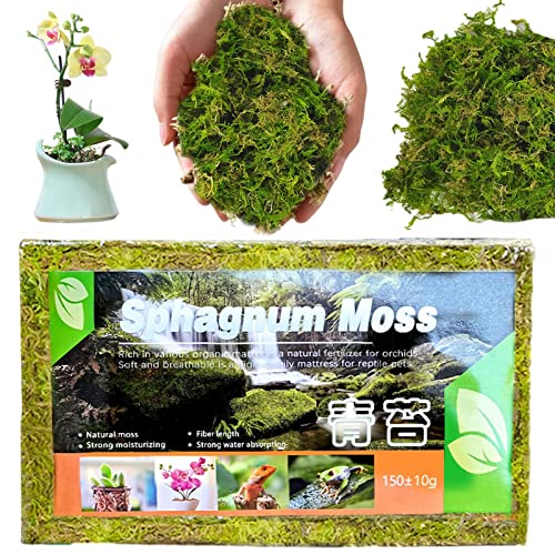 Terrarium Moos Die 15 besten Produkte im Vergleich & Angebote aktualisiert Juli 2024