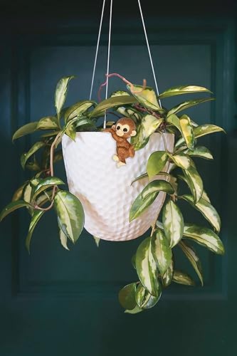 Miniatura 5 de Ebrima Juego de 3 bonitas figuras de animales para macetas, decoración para colgar macetas, escultura de mono escalador de resina, estatuas al aire