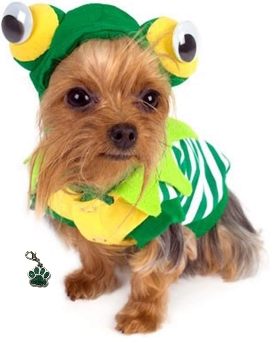 Cute Green Frog Costume with Paw Charm Hoodie Knit Sweater Sweatshirt for Dogs - One Piece - Sizes XS to XL (Green Frog, M - Chest 16-18.5”, Neck 10.5-12”, Back 12.5”L)