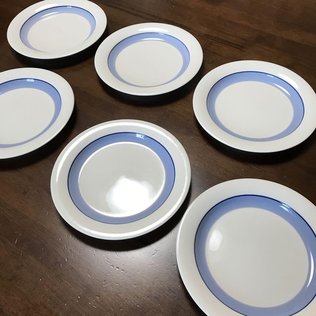 アラビア社 アークティカ プダス プレート 大6枚 アラビア社アーク