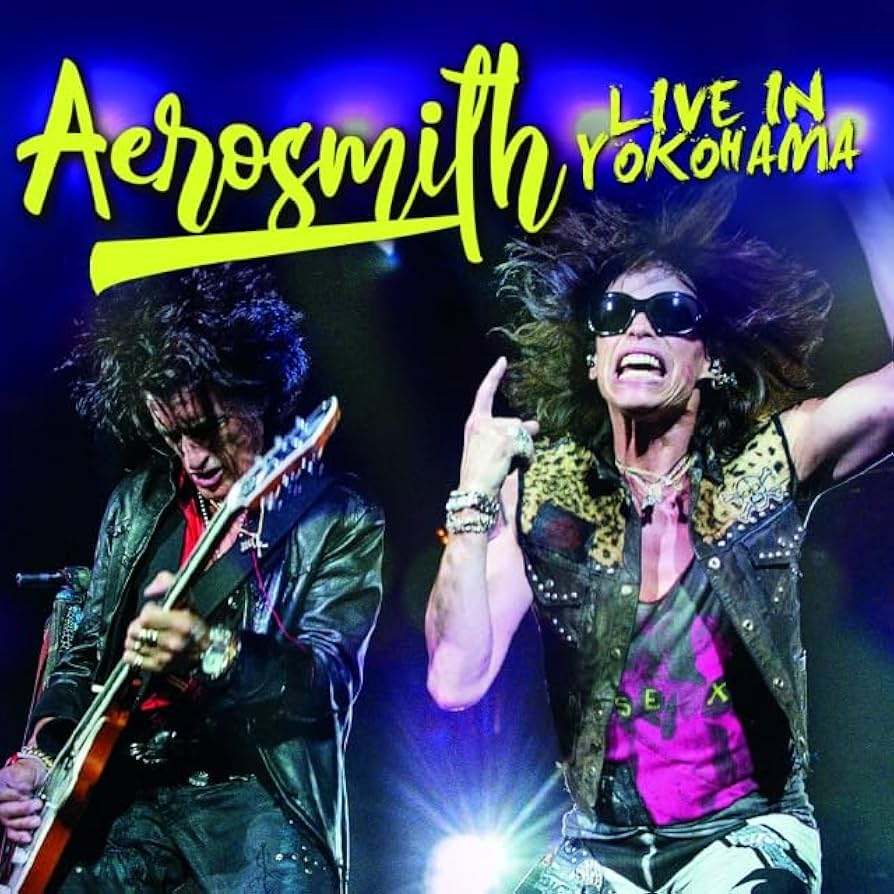 Aerosmith Lili Claire Flight LIVE映像DVD2枚 Aerosmith Lili Claire Flight LIVE映像DVD2枚 Aerosmith Lili