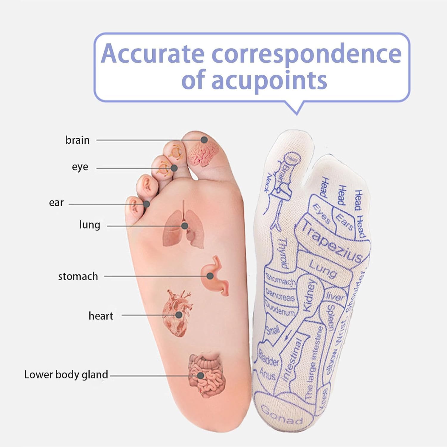 KANISYA Acupressure Reflexology Socks Foot Massager With Massage Stick ForUnisex,Printed Reflexology Chart of Both Sole,Physiotherapy Socks With Massage Tools Foot Acupressure Point Socks,Multicolour 2