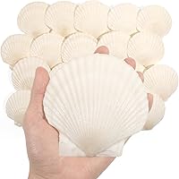 Vista 1 de 20 conchas de vieira grandes de 4 a 5 pulgadas para manualidades, conchas marinas grandes naturales para manualidades, conchas blancas de gran mar