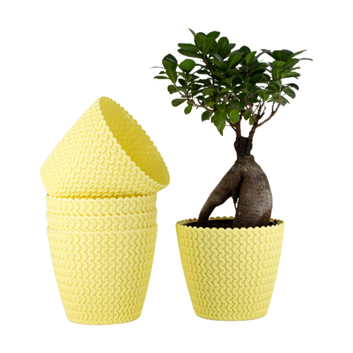Amazon Brand - Umi Indoor and Outdoor Plants Designer Round Shape 7Inch(17.78cm) Poppy Flower Plastic Pot Suitable for Gift Purpose/Home/Office/Garden Decor - Set of 5, Color: Light Yellow (B0C5RMH2JY) Amazon Price History, Amazon Price Tracker