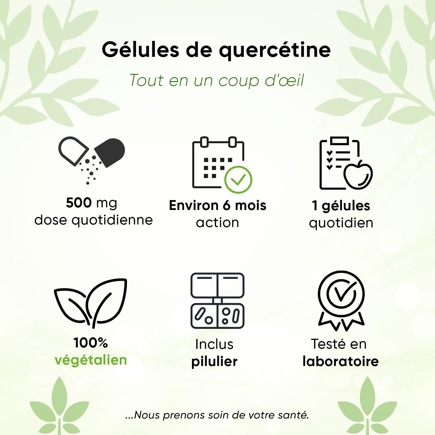 Quercétine – 500 mg – 180 gélules – 6 mois – Avec boîte à pilules – Vegan – Extrait de fleur de Sophora du Japon 95% - Sans additifs