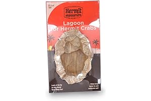 Fluker's Lagoon: The Oasis for Hermit Crabs