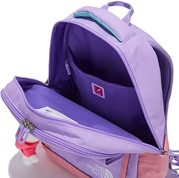 新品　THE NORTH FACE ラベンダーカラーリュックサック ザ ノース フェイス THE NORTH FACE ☆バックパック IRIDESCENT JESTER
