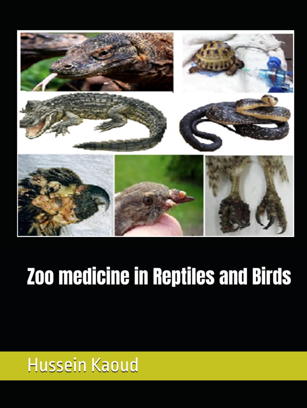 Zoo medicine in Reptiles and Birds