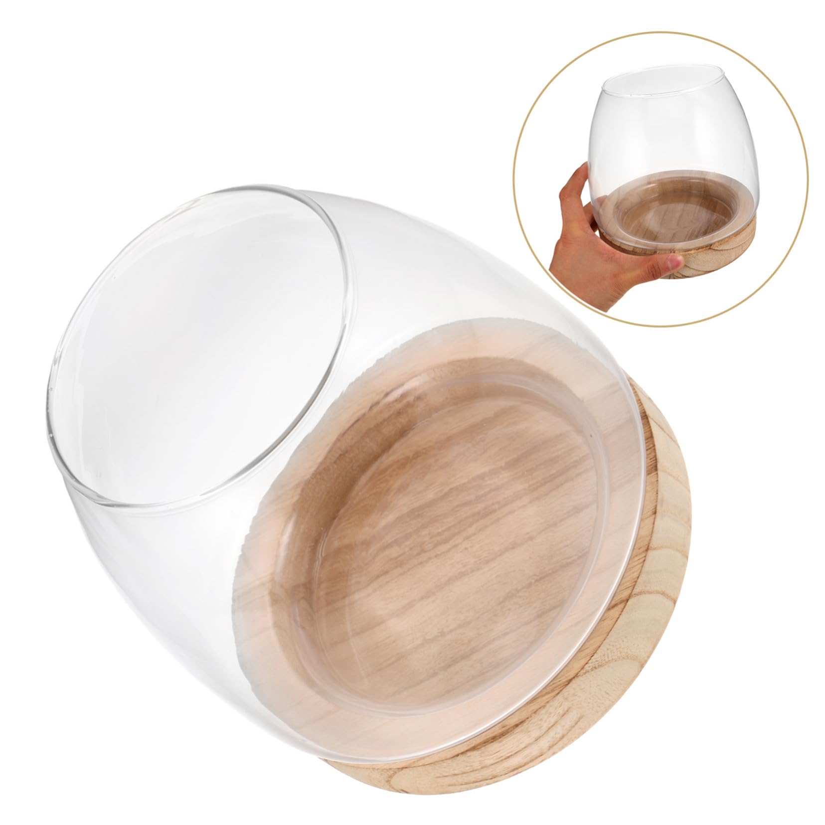 Vase Hydroponique Verre avec Base Propagation Eau Facile Décor de Table Élégant pour Plante Intérieur et Aquarium Miniature