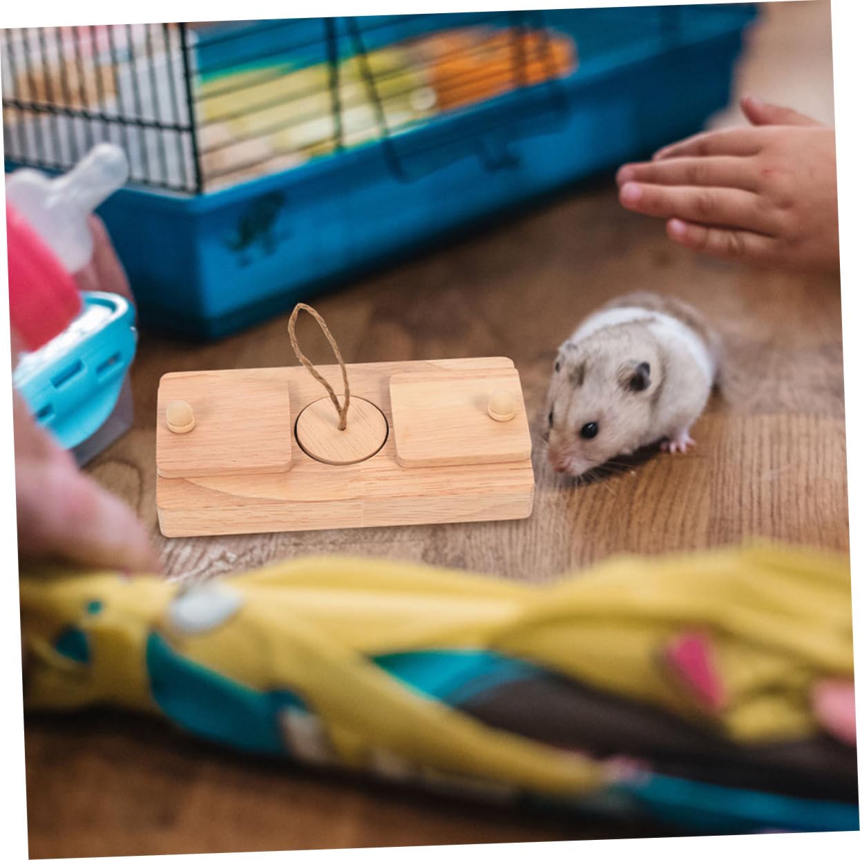 Ensemble De 2 Jouets pour Chinchilla Compacts en Bois pour Cacher des Friandises pour Cage De Petit Animal Accessoire pour Hamster