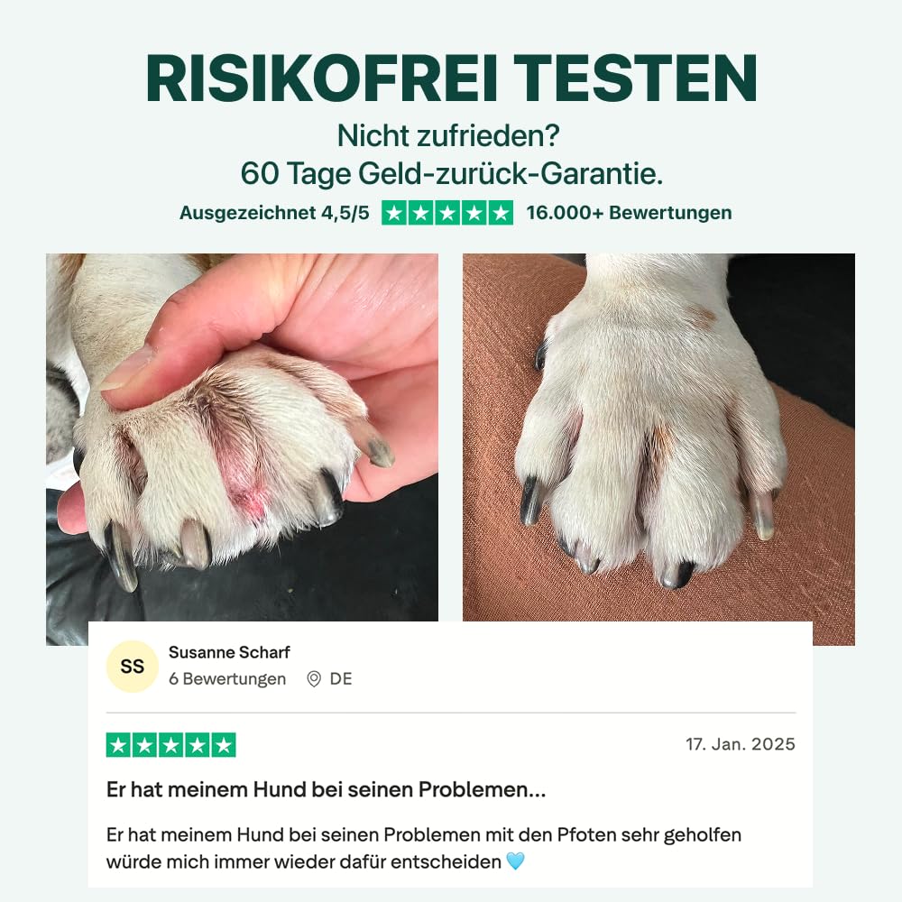 DogSuppy Juckreiz Linderung, Probiotika für Hunde, gegen Juckreiz und zur Stärkung des Immunsystems, Unterstützt die Verdauung & Darmflora, 3 Milliarden Probiotika pro Snack, 60 leckere Snacks