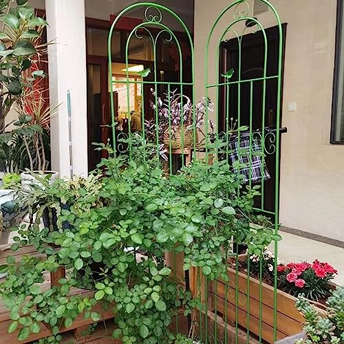Treillis de jardin, 180 cm de haut, clôture d'arche pour plantes grimpantes, support mural, idéal pour terrasse, jardin, couleur verte, parfait pour les...