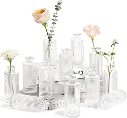 Kit 5 Vasos Decorativo em Vidro Jarrinho Flores Solitário Difusor