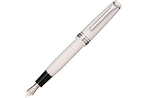 Sailor Professional Gear Fountain Pen, Silver and White, Fine Point: Writing Excellence for Sailors