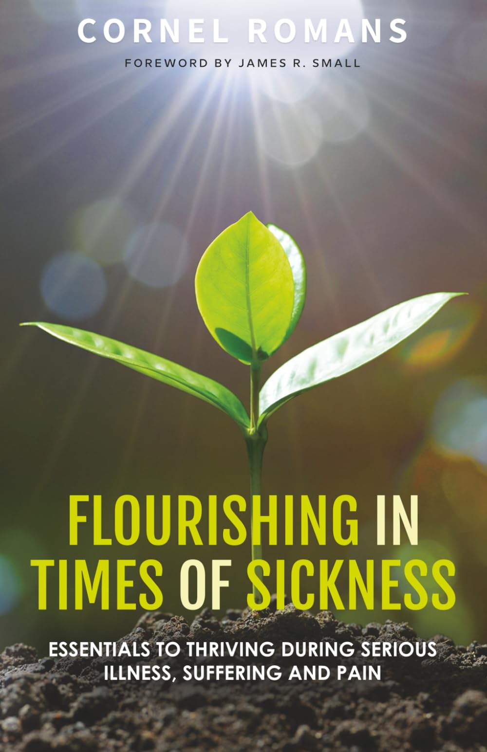 Flourishing in Times of Sickness: Essentials to Thriving During Serious Illness, Suffering and Pain