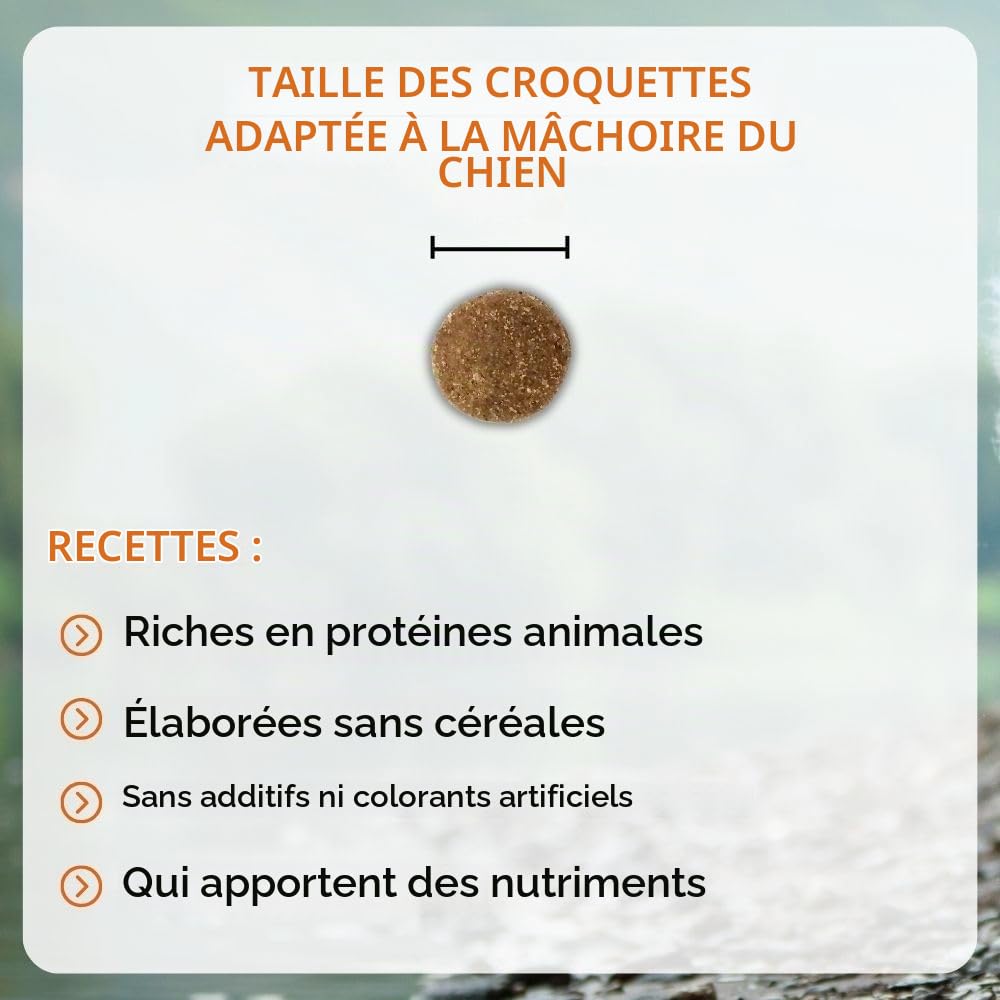 NUTRIVET - INNE Chien - Croquettes sans Céréales - Chien Adulte - Volaille - 80% d'ingrédients d'origine Animale - 12 kg