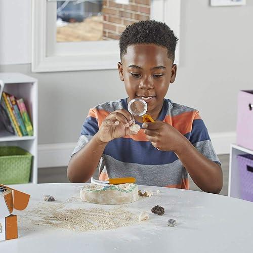 Miniatura 5 de hand2mind - Kit de excavación de fósiles para excavar y exhibir, vitrina de fósiles, 8 fósiles reales para descubrir, kits de excavación para niños,