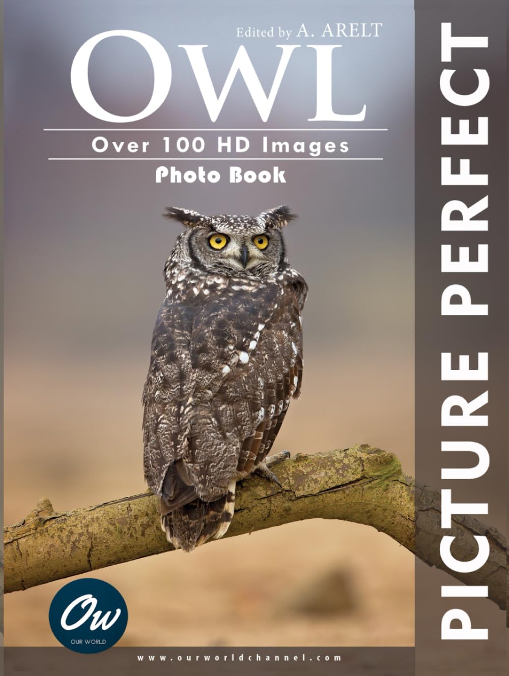 Owl: Picture Perfect Photo Book